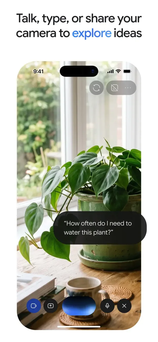 Gemini app answering a plant-watering question from a camera photo
