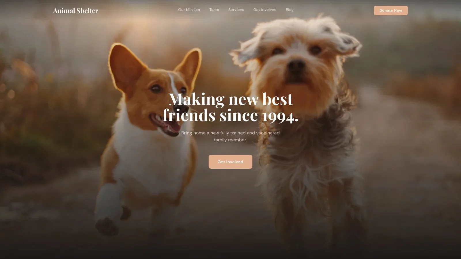 Animal shelter site