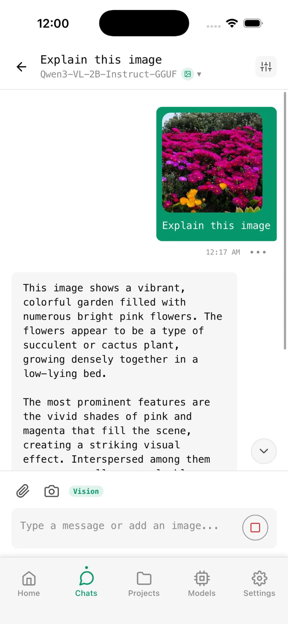 Off Grid AI vision answer describing a photo of flowers
