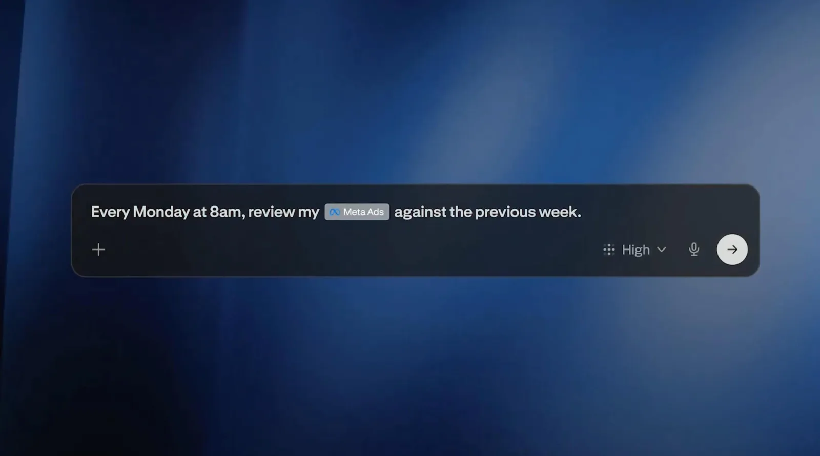 Perplexity automation prompt input for a scheduled task